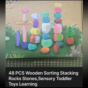 48 PCS Wooden Sorting Stacking Rocks Stones